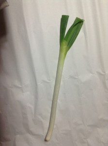 Welsh onion (6)