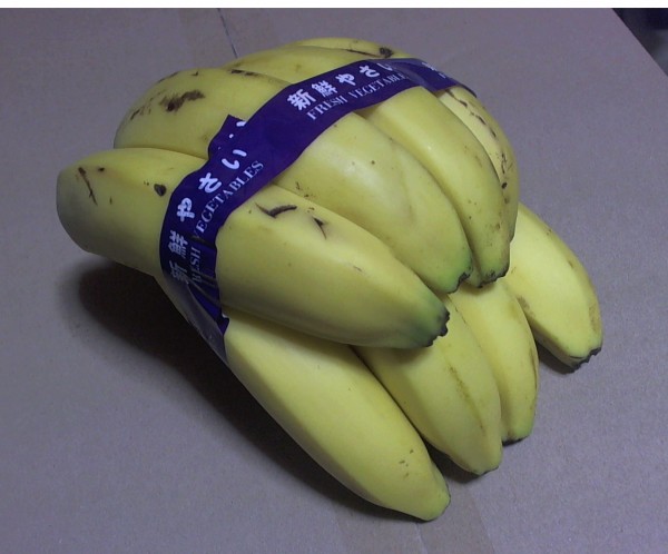 バナナを斜め下から撮影した写真