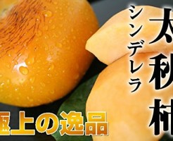 シンデレラ太秋柿｜果物