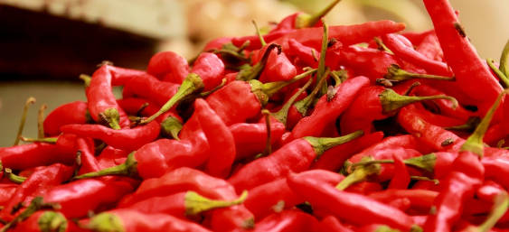 唐辛子(Red peppers)