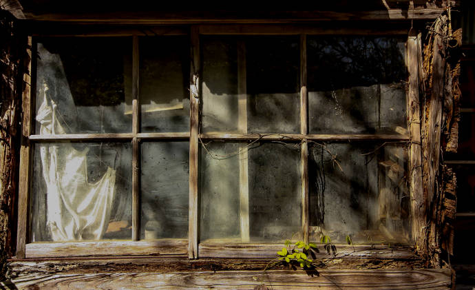 廃屋の窓