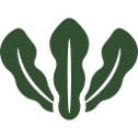 海藻のロゴ
