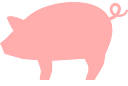 豚のロゴ