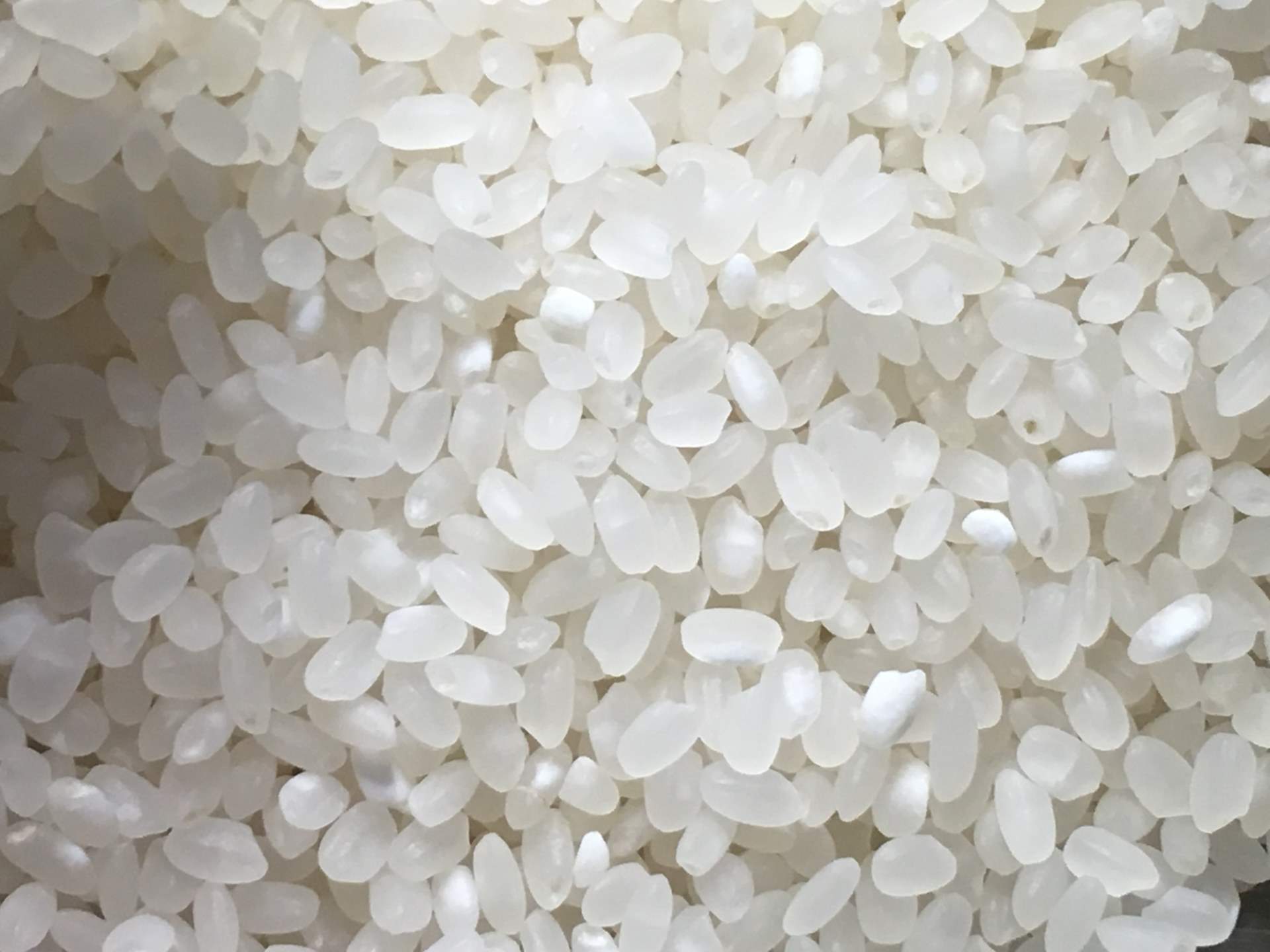 炊く前の米粒:平成30年度 北海道産 ななつぼし