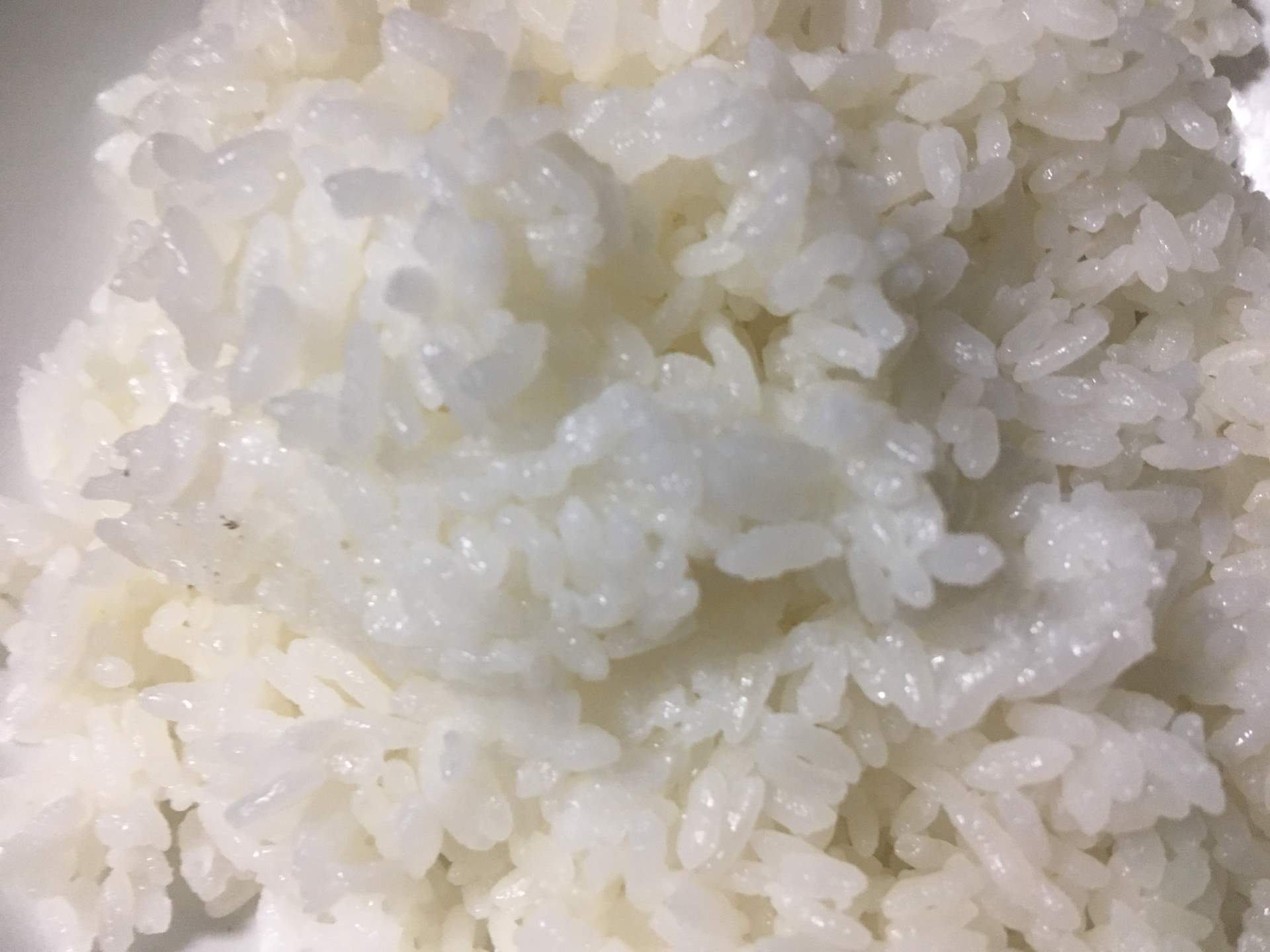 炊いた状態:平成30年度 北海道産 ななつぼし