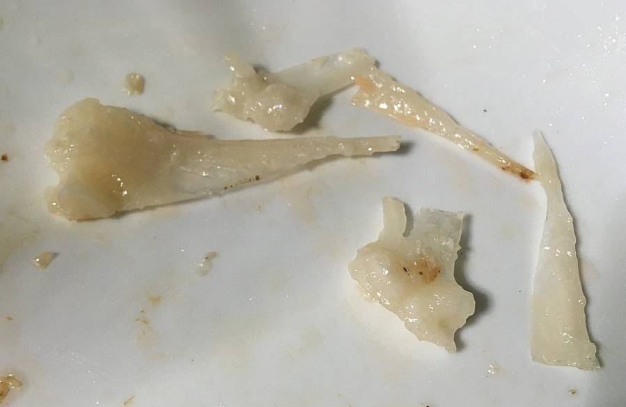 骨が意外と太い:ねぎ塩焼き鮭のハラス｜まいばすけっと