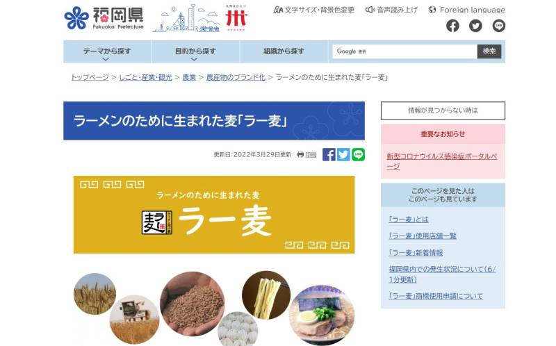 ラーメンのために生まれた麦「ラー麦」 - 福岡県庁ホームページ