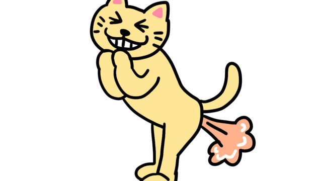 アビシニアン