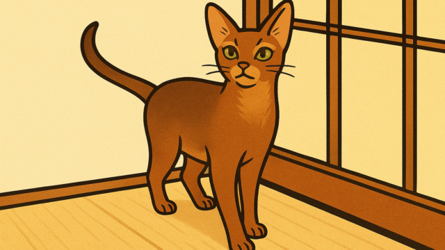 アビシニアンのアビ蔵・イラスト