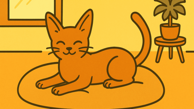 かわいいアビシニアン