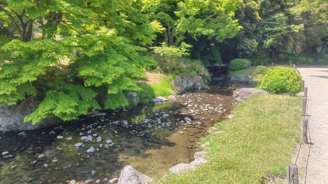 栗林公園の池