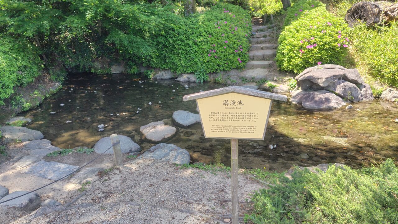 園内の飛び石