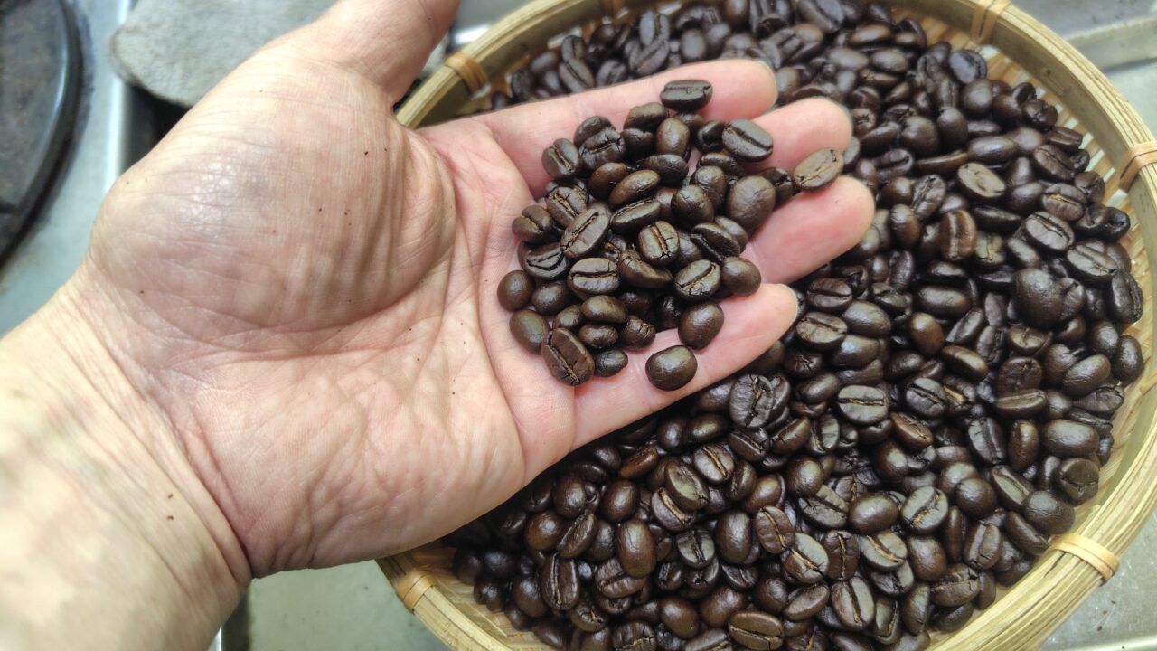 ボリビア・コパカバーナ農園のコーヒー豆、焙煎完了