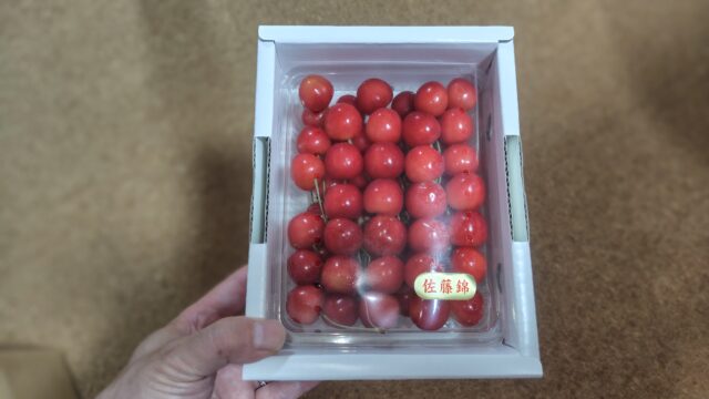 綺麗に並んだ佐藤錦