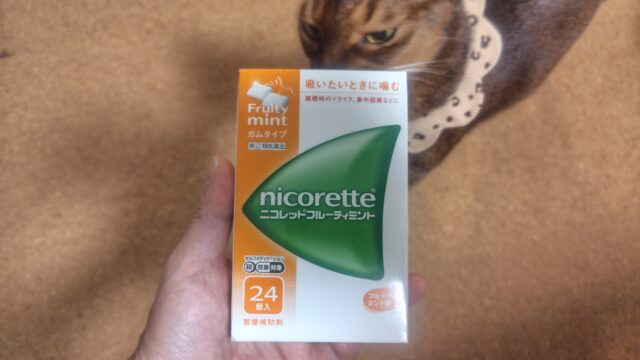 ニコレットとアビシニアン