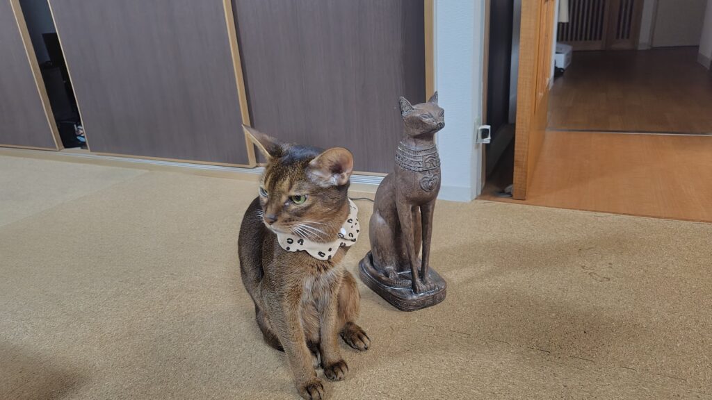 アビシニアンとバステト像の漫才