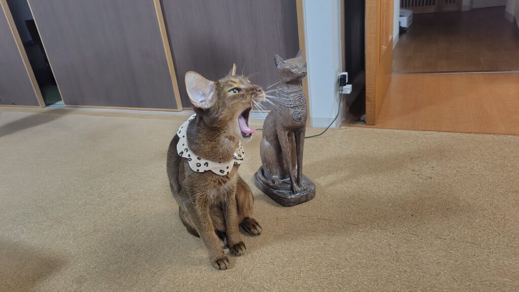 アビシニアンとバステト像