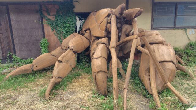 sd45。尾身大輔さんの《ヒトクサヤドカリ》。アップ