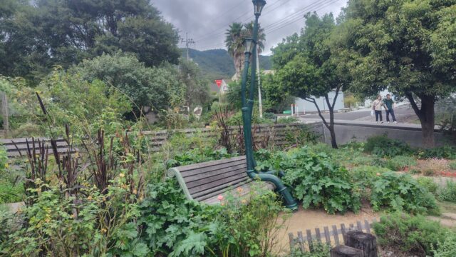 曲がった街灯とベンチ。