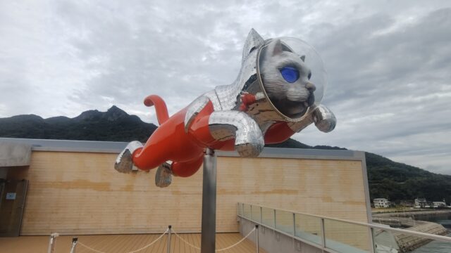 シップスキャットを横から撮った写真