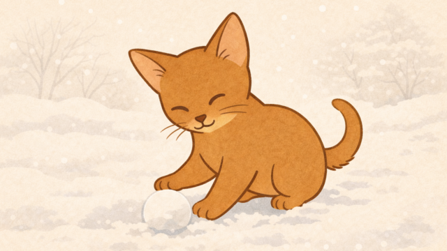 🐾 12月第4週のアビ蔵占い｜12星座別の“にゃっとした運勢