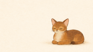 年末のぬふふ.com