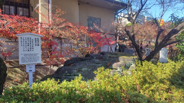 血染めの梅・血染めの石