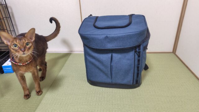 キャリーバッグとアビ蔵