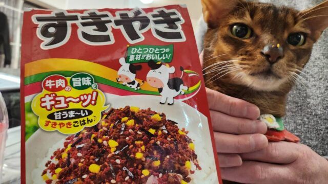 すきやきふりかけを食べたアビシニアン