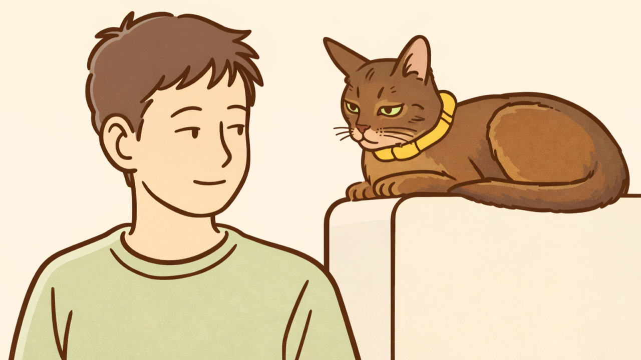 ダイエット。一週間で-1.4㎏