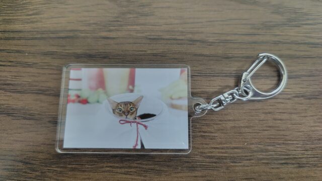 フォトレコペット撮影会のキーホルダー