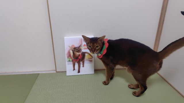 アビシニアンとそのアート風パネル