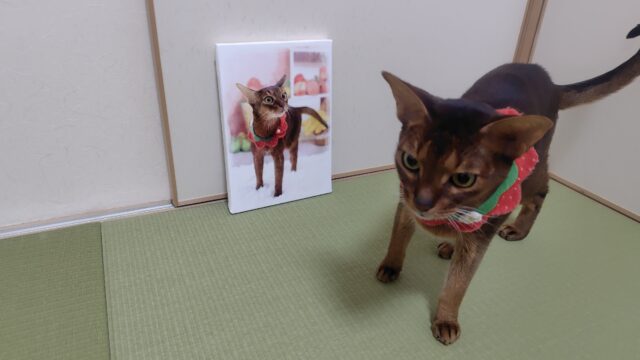 アビシニアンとアート風パネル