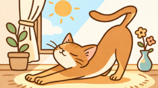 3月のアビ蔵占い