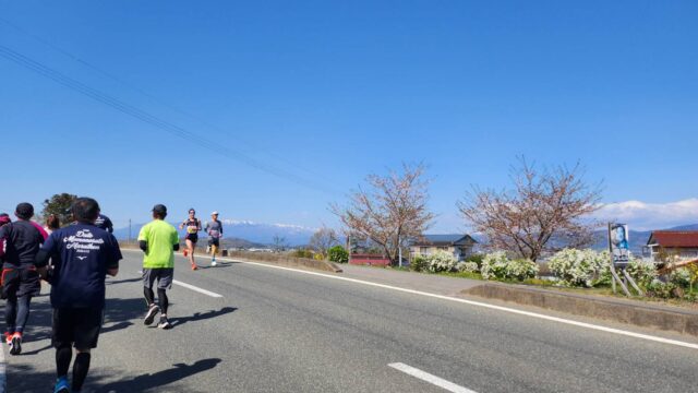 伊達ももの里マラソン　風景