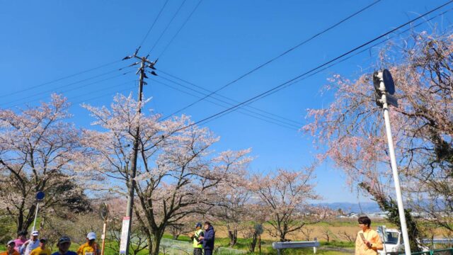伊達ももの里マラソン　景色