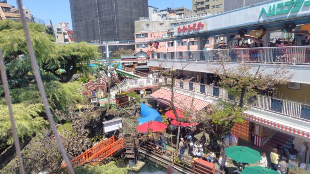 スカイシップからの景色